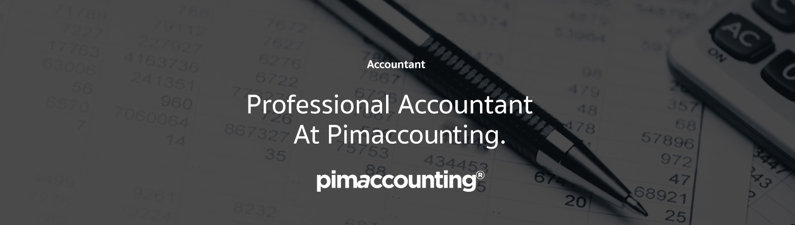 Professional Accountant At Pimaccounting