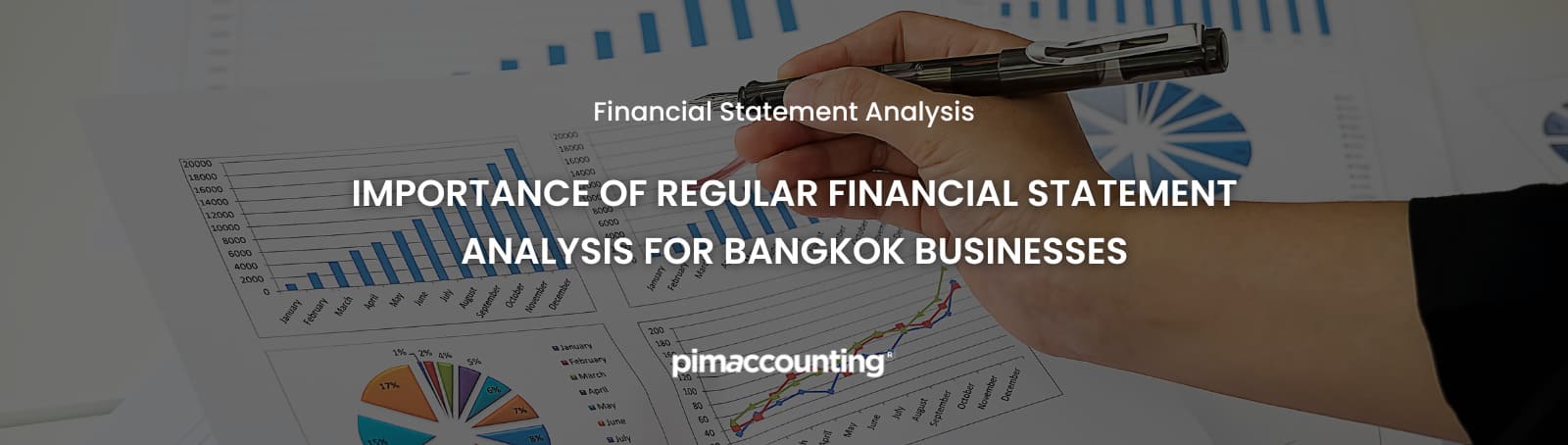 Financial Statement Analysis - Pimaccounting
