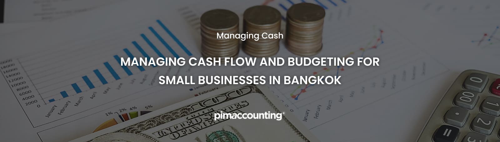 cash flow and budgeting - pimaccounting
