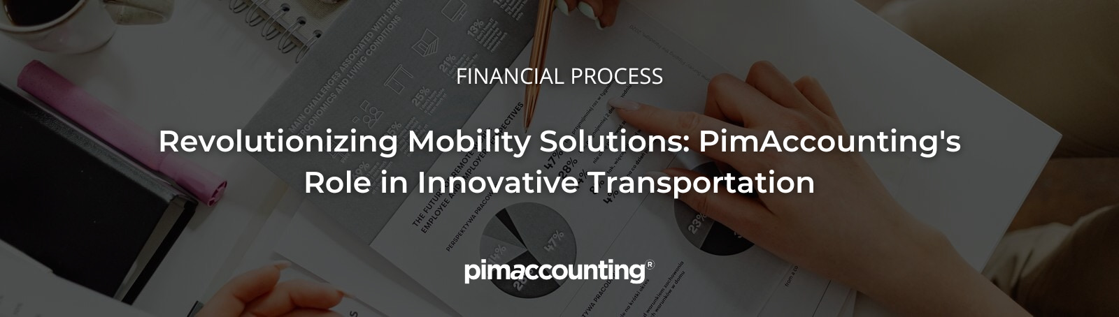 Revolutionizing Mobility Solutions: PimAccounting's Role in Innovative Transportation